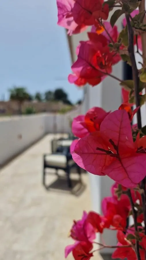 Opuntia Hotel Boutique Mijas 3*,